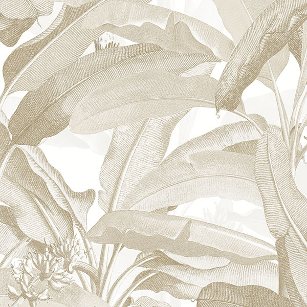 Patton Wallcoverings MH36536 Manor House Polynesian Leaves Wallpaper